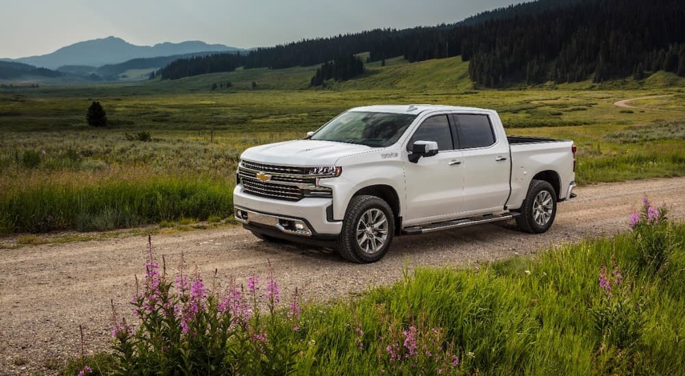 A white 2021 Chevy Silverado 1500 High Country driving past meadows on a dirt road.