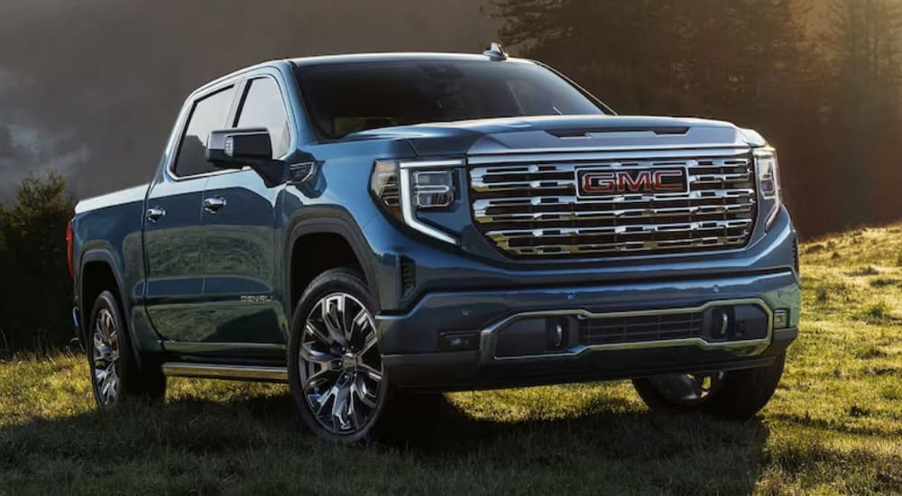 A blue 2025 GMC Sierra 1500 Denali parked off-road on grass