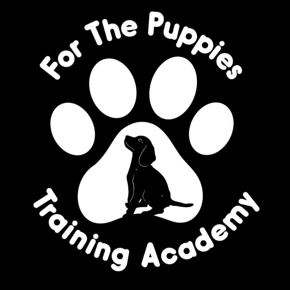 Crossroads Automotive Of Corinth GMC in Corinth MS